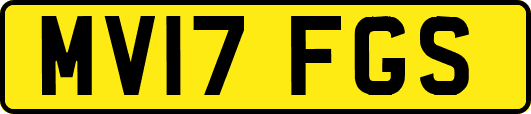MV17FGS