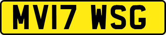 MV17WSG