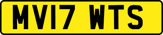 MV17WTS