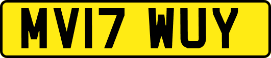 MV17WUY