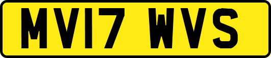 MV17WVS