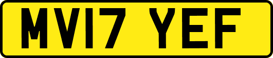 MV17YEF