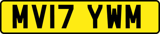 MV17YWM