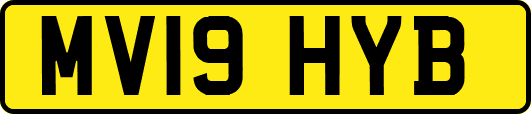 MV19HYB