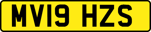MV19HZS