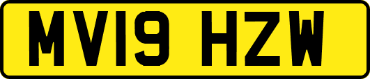 MV19HZW