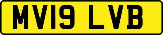 MV19LVB