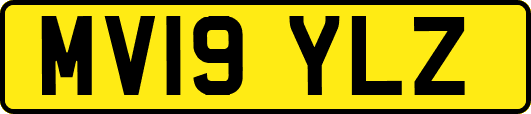 MV19YLZ