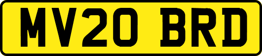 MV20BRD