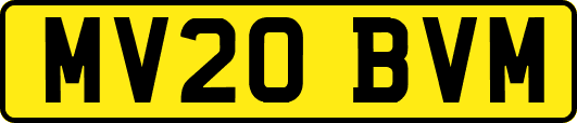 MV20BVM
