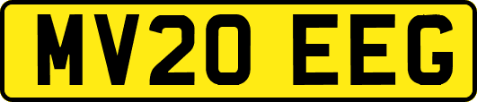 MV20EEG