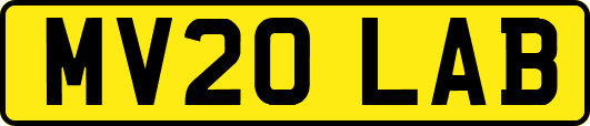 MV20LAB