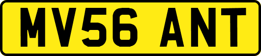 MV56ANT