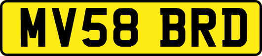 MV58BRD