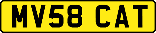 MV58CAT