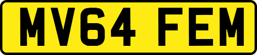 MV64FEM
