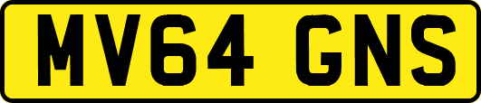 MV64GNS