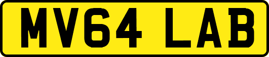 MV64LAB