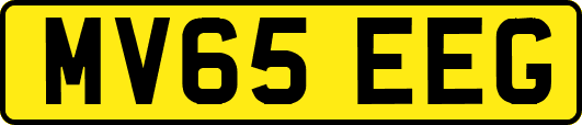 MV65EEG