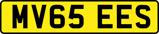 MV65EES