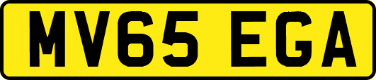 MV65EGA