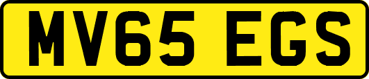 MV65EGS