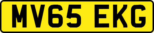 MV65EKG