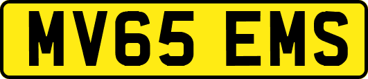 MV65EMS