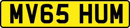 MV65HUM