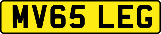 MV65LEG
