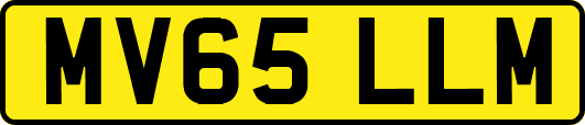 MV65LLM