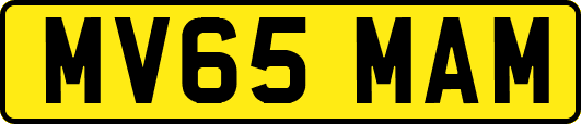 MV65MAM