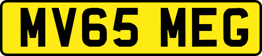MV65MEG