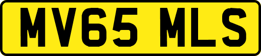 MV65MLS