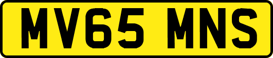 MV65MNS