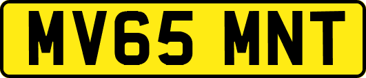 MV65MNT