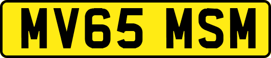 MV65MSM