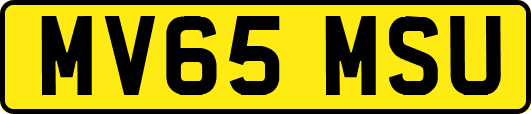 MV65MSU