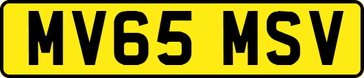 MV65MSV