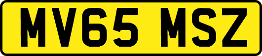 MV65MSZ