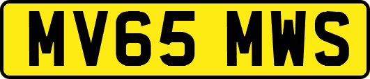 MV65MWS