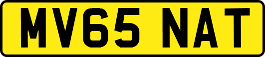 MV65NAT