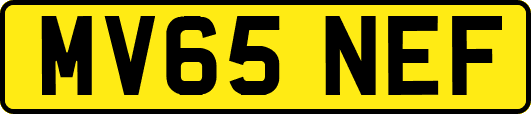 MV65NEF