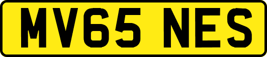 MV65NES