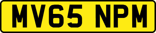 MV65NPM