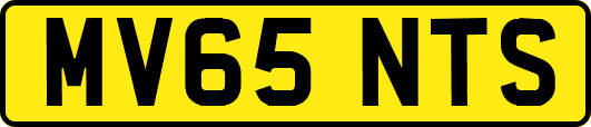 MV65NTS