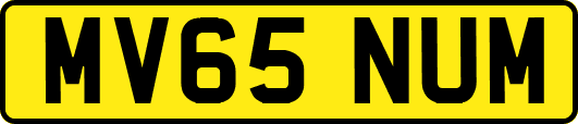 MV65NUM