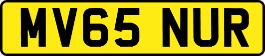 MV65NUR