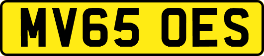 MV65OES