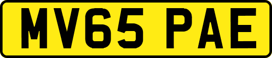 MV65PAE